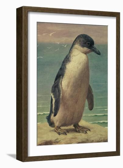 Study of a Penguin-Henry Stacey Marks-Framed Giclee Print