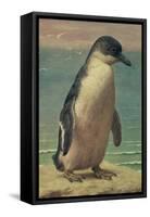 Study of a Penguin-Henry Stacey Marks-Framed Stretched Canvas