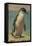 Study of a Penguin-Henry Stacey Marks-Framed Stretched Canvas