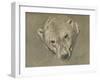 'Study of a Polar Bear's Head', c1901-John MacAllan Swan-Framed Giclee Print