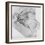 'Study of a Rearing Horse', c1480 (1945)-Leonardo Da Vinci-Framed Giclee Print