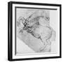 'Study of a Rearing Horse', c1480 (1945)-Leonardo Da Vinci-Framed Giclee Print