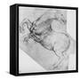 'Study of a Rearing Horse', c1480 (1945)-Leonardo Da Vinci-Framed Stretched Canvas