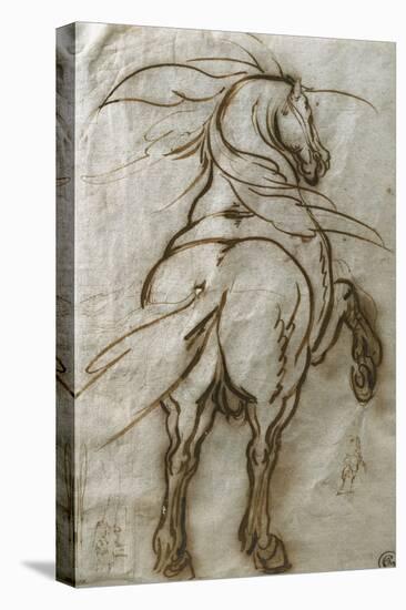 Study of a Rearing Horse, with a Subsidiary Study of the Same and a View of a Town-Jacques Callot-Stretched Canvas