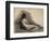 Study of a Reclining Nude Woman, 1863-66 (Charcoal on Paper)-Thomas Cowperthwait Eakins-Framed Giclee Print