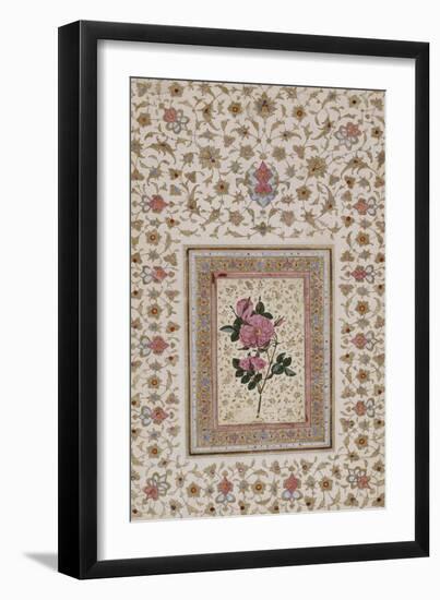 Study of a Rose. Zand Persia, 18th Century-null-Framed Premium Giclee Print