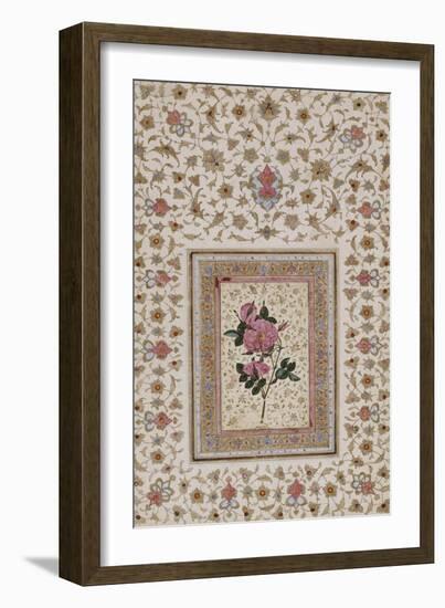 Study of a Rose. Zand Persia, 18th Century-null-Framed Giclee Print