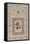 Study of a Rose. Zand Persia, 18th Century-null-Framed Stretched Canvas