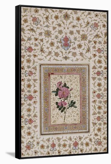 Study of a Rose. Zand Persia, 18th Century-null-Framed Stretched Canvas