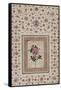 Study of a Rose. Zand Persia, 18th Century-null-Framed Stretched Canvas