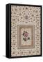 Study of a Rose. Zand Persia, 18th Century-null-Framed Stretched Canvas