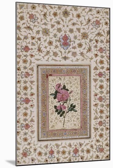 Study of a Rose. Zand Persia, 18th Century-null-Mounted Giclee Print