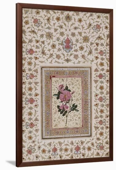 Study of a Rose. Zand Persia, 18th Century-null-Framed Giclee Print