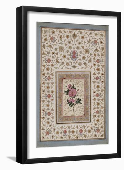 Study of a Rose-null-Framed Premium Giclee Print