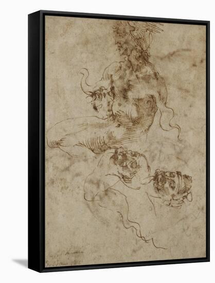 Study of a Seated Young Man, with Head Studies, C.1502-Michelangelo Buonarroti-Framed Stretched Canvas