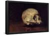 STUDY OF A SKULL - 1883 - OIL/CARDBOARD. Location: BANCO EXTERIOR-COLECCION, MADRID, SPAIN-Joaquin Sorolla-Framed Poster