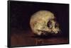 STUDY OF A SKULL - 1883 - OIL/CARDBOARD. Location: BANCO EXTERIOR-COLECCION, MADRID, SPAIN-Joaquin Sorolla-Framed Poster