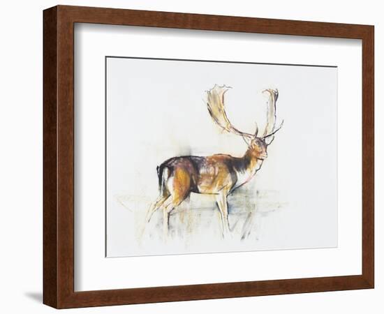 Study of a Stag-Mark Adlington-Framed Giclee Print