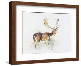 Study of a Stag-Mark Adlington-Framed Giclee Print