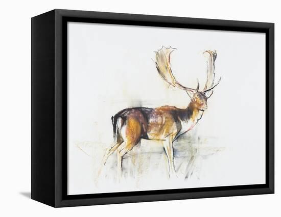 Study of a Stag-Mark Adlington-Framed Stretched Canvas