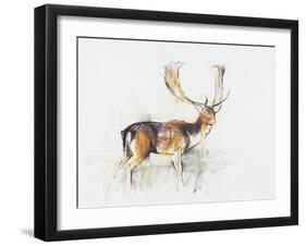 Study of a Stag-Mark Adlington-Framed Premium Giclee Print