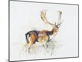 Study of a Stag-Mark Adlington-Mounted Premium Giclee Print