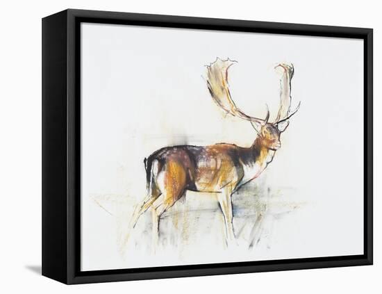 Study of a Stag-Mark Adlington-Framed Stretched Canvas