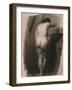 Study of a Standing Nude Woman, 1863-66 (Charcoal on Paper)-Thomas Cowperthwait Eakins-Framed Giclee Print