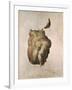 Study of a Torso for the Raft of the Medusa, 1818-Théodore Géricault-Framed Giclee Print