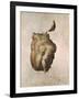 Study of a Torso for the Raft of the Medusa, 1818-Théodore Géricault-Framed Giclee Print