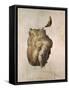 Study of a Torso for the Raft of the Medusa, 1818-Théodore Géricault-Framed Stretched Canvas