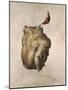 Study of a Torso for the Raft of the Medusa, 1818-Théodore Géricault-Mounted Giclee Print