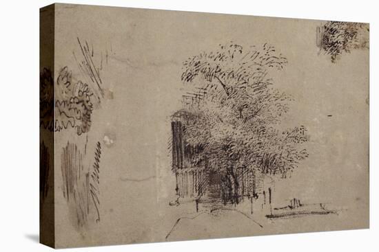 Study of a Tree in Front of a House-Rembrandt van Rijn-Stretched Canvas