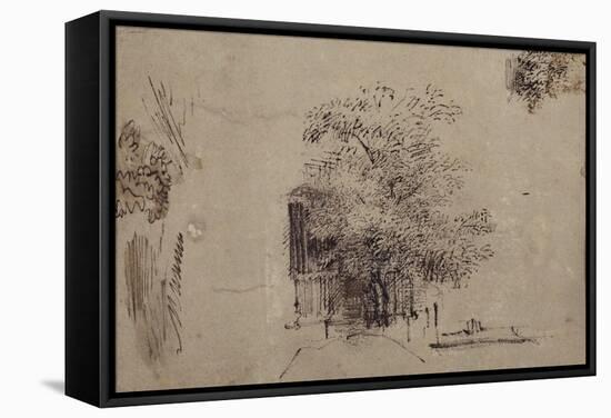 Study of a Tree in Front of a House-Rembrandt van Rijn-Framed Stretched Canvas