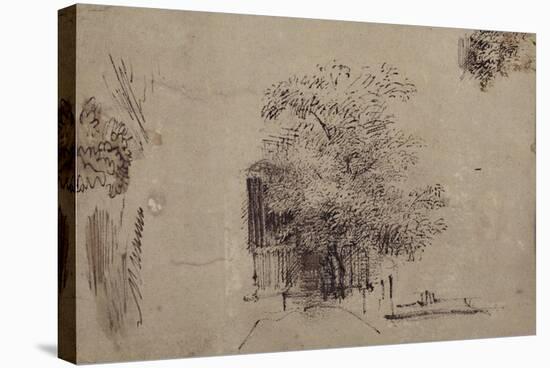 Study of a Tree in Front of a House-Rembrandt van Rijn-Stretched Canvas