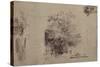 Study of a Tree in Front of a House-Rembrandt van Rijn-Stretched Canvas