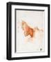 Study of a Warrior's Head for the Battle of Anghiari - Leonardo Da Vinci (1452-1519) - 1504-1505 --Leonardo Da Vinci-Framed Giclee Print