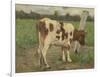 Study of a White Cow Standing on a Pole in a Meadow-Geo Poggenbeek-Framed Art Print