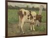 Study of a White Cow Standing on a Pole in a Meadow-Geo Poggenbeek-Framed Art Print