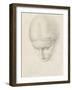 Study of a Woman. C.1868-71 (Pencil on Paper)-Edward John Poynter-Framed Giclee Print