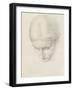 Study of a Woman. C.1868-71 (Pencil on Paper)-Edward John Poynter-Framed Giclee Print