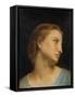 Study of a Womans Head (Oil on Canvas)-William-Adolphe Bouguereau-Framed Stretched Canvas