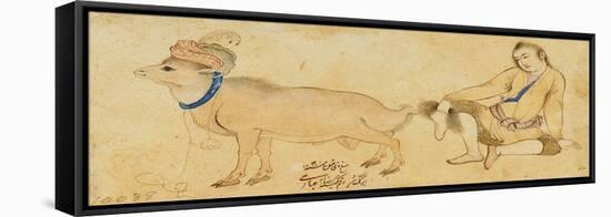 Study of a Young Man and a Ram, 1630-31 or Later-Riza-i Abbasi-Framed Stretched Canvas