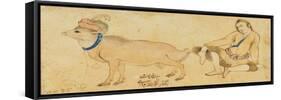 Study of a Young Man and a Ram, 1630-31 or Later-Riza-i Abbasi-Framed Stretched Canvas