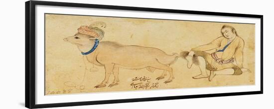 Study of a Young Man and a Ram, 1630-31 or Later-Riza-i Abbasi-Framed Giclee Print