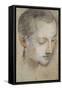 Study of a Young Man's Head-Federico Fiori Barocci-Framed Stretched Canvas