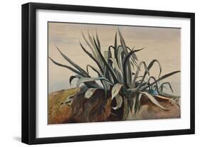 Study of an Agave, with Additions by a Borbone Pupil-Giacinto Gigante-Framed Giclee Print