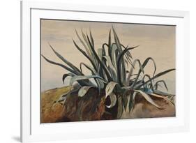 Study of an Agave, with Additions by a Borbone Pupil-Giacinto Gigante-Framed Giclee Print