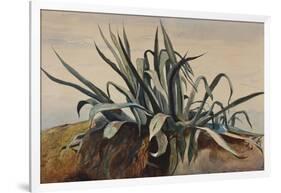 Study of an Agave, with Additions by a Borbone Pupil-Giacinto Gigante-Framed Giclee Print