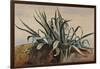 Study of an Agave, with Additions by a Borbone Pupil-Giacinto Gigante-Framed Giclee Print